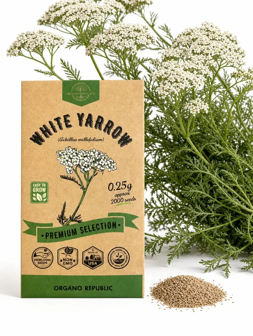 White Yarrow Seeds – Non-GMO Heirloom White Yarrow Seeds – Non-GMO Heirloom