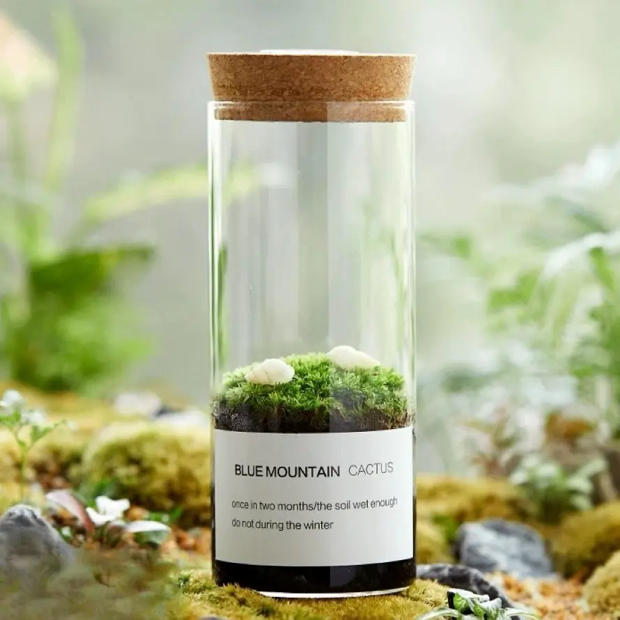 DIY Terrarium Cylinder Kit with Pumice, Dried Sphagnum Moss, Moss, Soil, Figurines, and Tools - for Adults & Kids