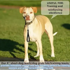 Poodle Shot Leash- 9 Inch Dogs Lead Grab Tab Heavy Duty Waterproof PVC Dog Training Traffic Leashes for Safety Control Behavior Correction Hiking Backup & All Breeds (Black, 9'')