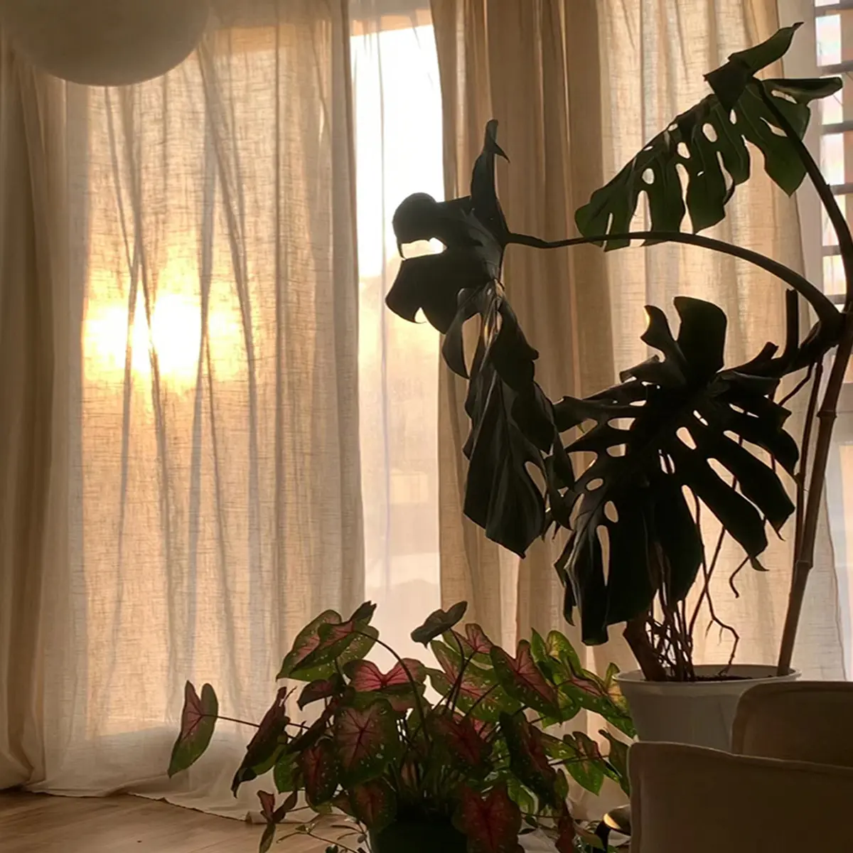 1pc Japanese Style Minimalist Aesthetic Cotton Linen Curtains, Home Decorative Curtain, Soft Breathable Natural Wood Window Drapes, Bedroom Living Room Balcony Curtain, Non-Fading