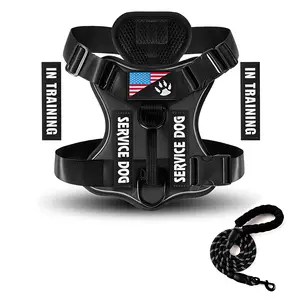 Reflective Tactical Dog Harness & 1.5m Leash Set with 'IN TRAINING' & 'SERVICE DOG' Embroidery Adjustable Breathable Mesh Vest for Small Medium Large Dogs Easy Wear No Pull Walking Training