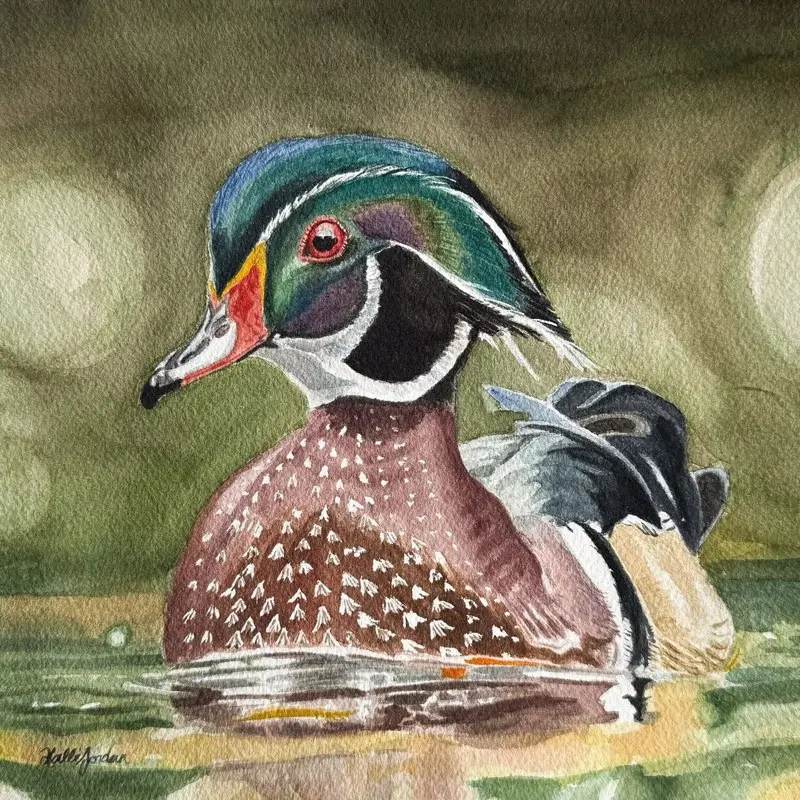 Carolina Wood Duck Print (Woodward)