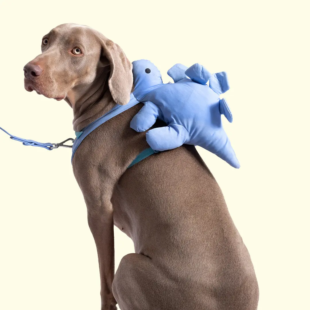 Dino Pac Mini Dog Harness & Backpack