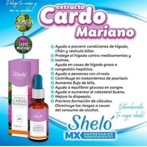 Cardo Mariano / Milk thistle Gluten Free Adult Child Edible Fitness Supplement Dietary Healthcare Health Liver Natural Healthy