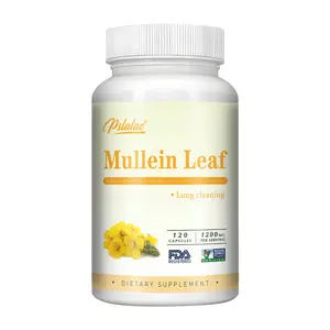Pslalae - Mullein Lung Detox Capsules - 1200 mg - Mullein Leaf Capsules for Respiratory Support - Vegetarian Lung Support Supplement - No Fillers