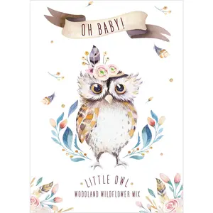 Oh Baby Little Owl Woodland - Wildflower Mix Seed Packets