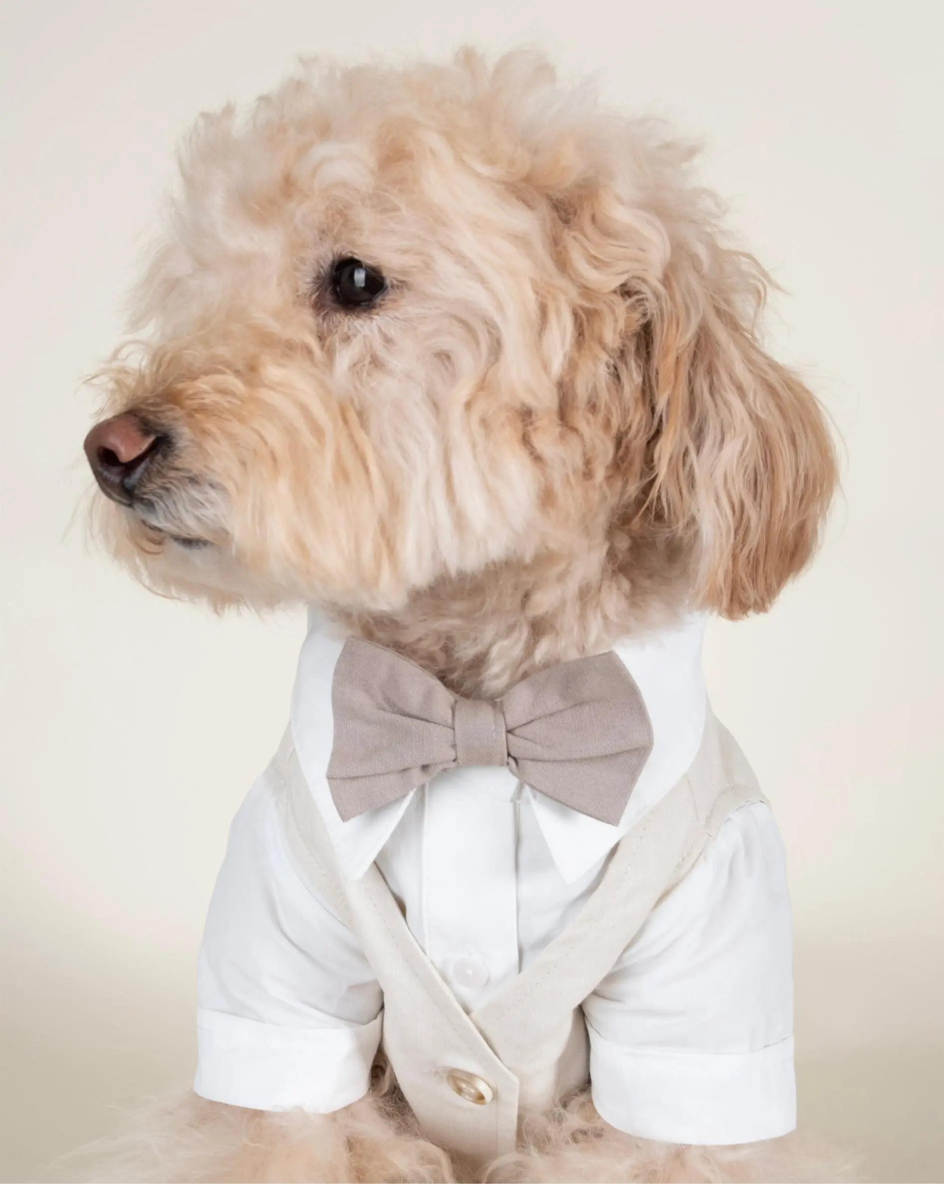 We Do Wedding Three-fer Button Up