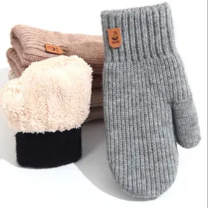 Winter Warm Fleece Gloves, Cute Plush Full Finger Knit Mittens, Outdoor Cycling Thick Double Layer Cold Protection, Essential Winter Accessories