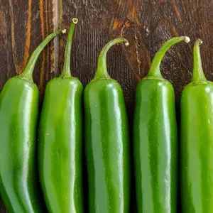 TomorrowSeeds - Serrano Hot Pepper Seeds -  23,000 Scoville Mexican Verde Green Chili Hot Spicy Chile Jalapeno Peppers Vegetable Seed For 2024