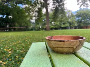 Hand-Turned Spalted Maple Bowl – 6.25" x 2.125" (One of a Kind)