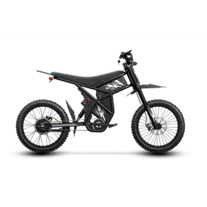 Riding'times GT73 Electric Bike