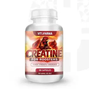 Creatine for Roosters – 100 Capsules | Micronized Creatine Monohydrate Supplement for Birds | Nutritional Support Formula