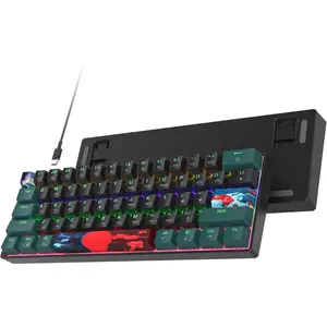 Gaming Keyboard 61 Keys Mechanical Rainbow Backlit Ultra Compact Wired Keyboard with Red Switches for Win, Ps4/5, Xbox (61 Green Keys)