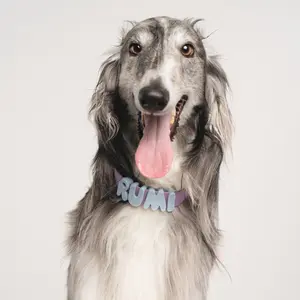 Waterproof Dog Collar Waterproof Dog Collar