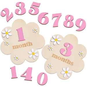 Wooden Daisy  Monthly Milestone Sign Cards 1-12 Months Interchangeable Monthly Milestone  Discs Announcement Sign for  Shower  Photo Props Gifts()