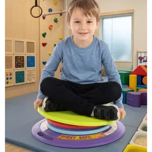 The Dizzy Disc Balance Toy