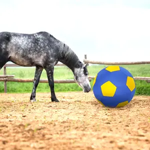 Pet Interactive Toy Ball Outdoor Elastic Training Dog Ball Football Design with Inflatable Pump, No Battery Required, Model Xinghao Mc250702