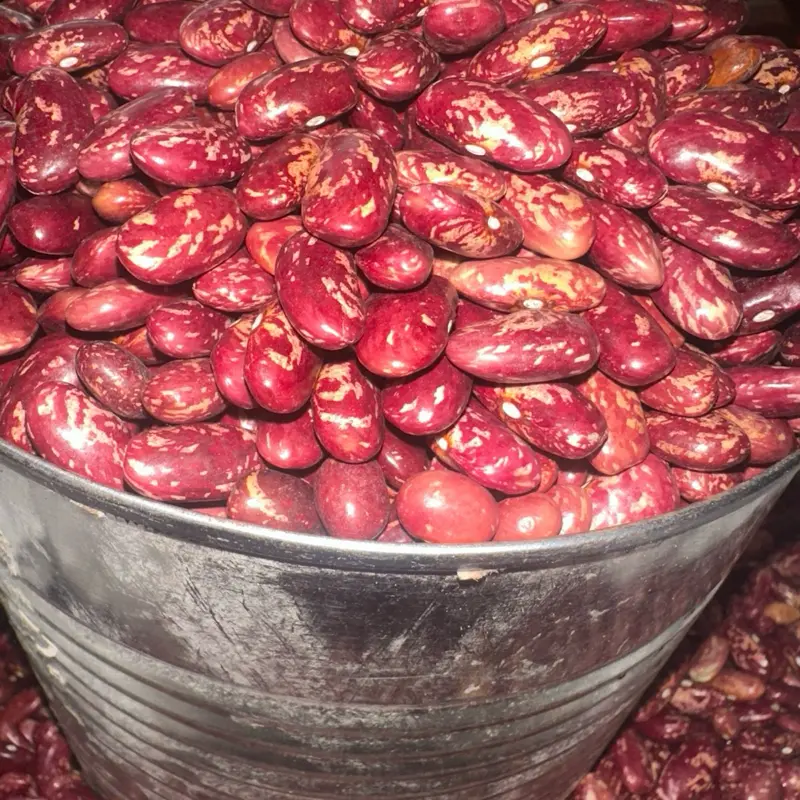 Haitian Pwa Rouj