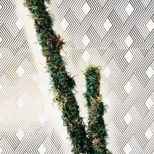 Moss Poles - 3ft Indoor Plant Support for Philodendrons & Pothos - Natural Growth Tendency - Easy Maintenance - 3 Sizes Available
