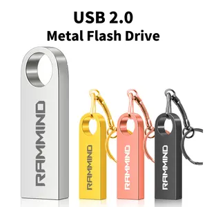 RMMMIND High Speed ​​USB 2.0 Flash Drive, 4GB/8GB/16GB/32GB/64GB/128GB Storage Options, Portable USB Memory with Keyring Accessories, Non-rechargeable, Durable for Data Transfer and Backup, USB Flash Drives