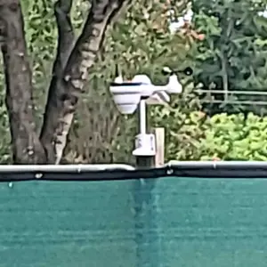 review image 9