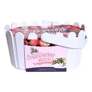Strawberry Grow Kit | White Basket Planter