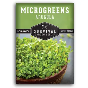 Arugula Microgreens Seeds - Zesty Flavor