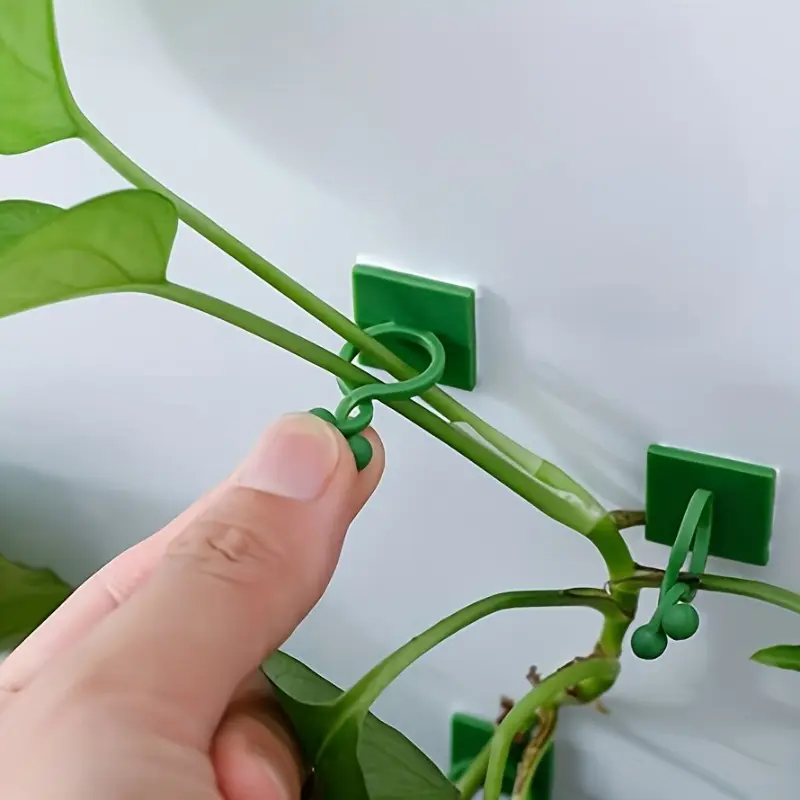 30pcs Invisible Plant Climbing Wall Hooks - Self-Adhesive, Reusable, Adjustable Vines Traction Holders for Indoor Outdoor Garden Trellis Wall Decoration, Easy To Use, No Damage, Weather Resistant, Plant Supplies