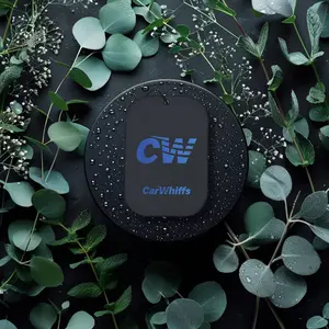 Eucalyptus & Spearmint Car Air Freshener