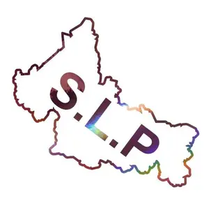 Mexican State Map Outline San Luis Potosí Vinyl Decal Sticker UV & Waterproof Bumper Window Laptop Automotive Water Bottle Gift accessories – ROSE GOLD HOLO 5.5"