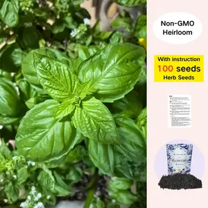 Basil Seeds – 100 Heirloom Seeds | Fast-Growing Culinary Herb for Home & Garden