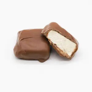 Asher's Milk Chocolate Jumbo Marshmallows - Gluten-Free, Kosher Certified, Made in the USA, Enrobed in Delicious Milk Chocolate 16 oz