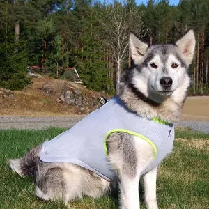 Summer Heat Cooling Vest