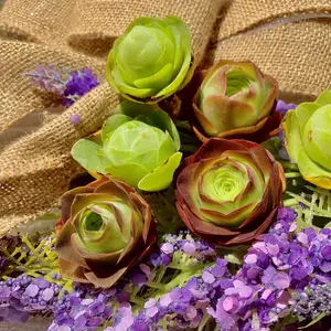 6PCS Rare Mountain Rose Succulents Live with Soil Pot – Mini Potted Plants for Garden, Indoor Decor, DIY Gifts, Succulent Set for Plant Lovers