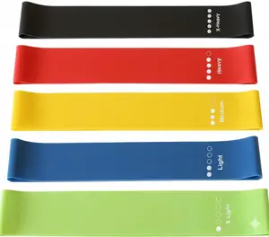Resistance Loop Exercise Bands Set of 5 Heavy Duty with Carry Bag & Instruction Guide for Legs Glutes Core & Full Body Workouts Portable Gym Equipment