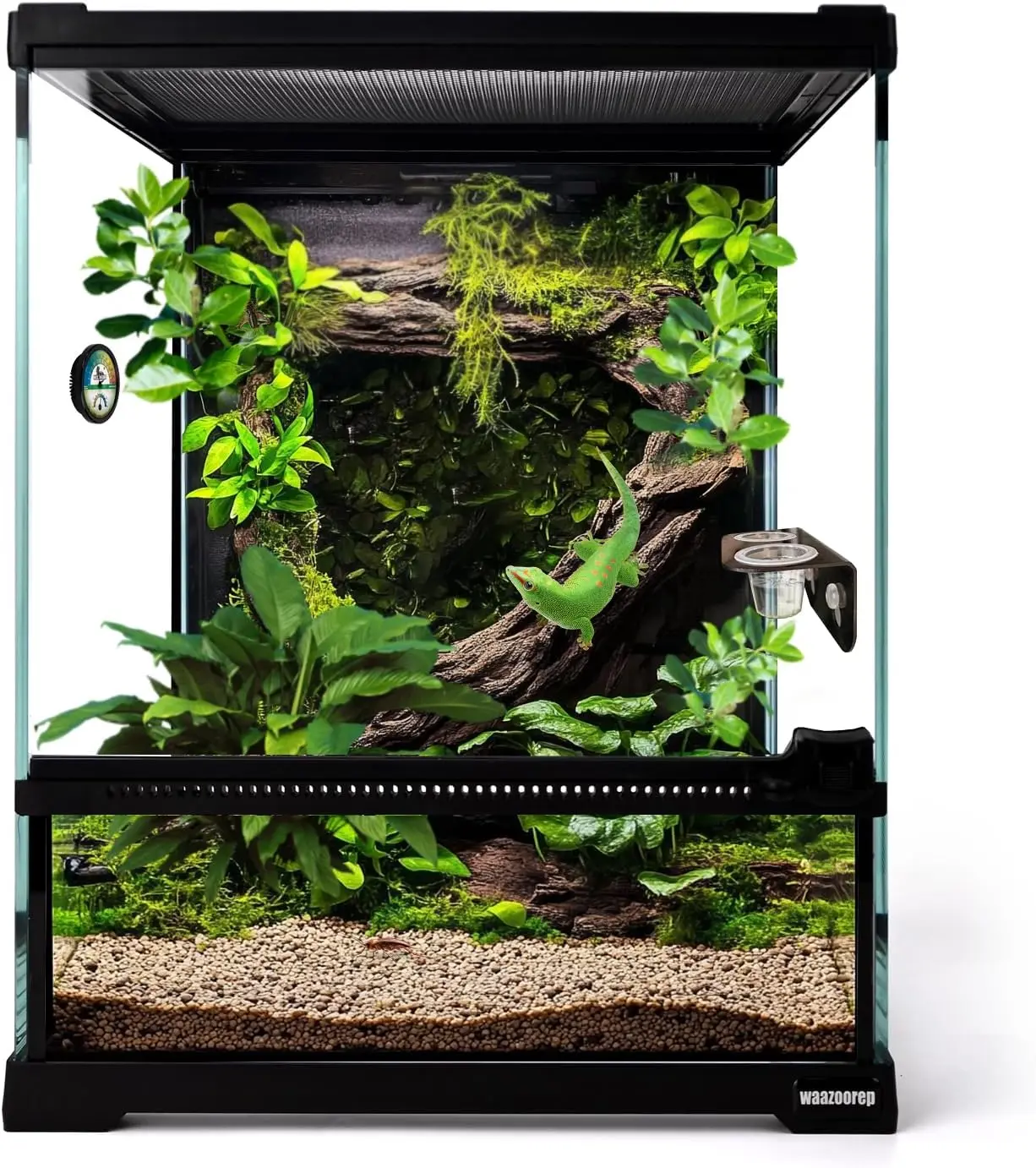 Mini Reptile Glass Terrarium Tank "*"*" Full View with Front Opening Door,Amphibians Enclosure Habitat Cage for Leopard Gecko Tarantula Young Lizard Hermit Crab Frog Insects Breeding