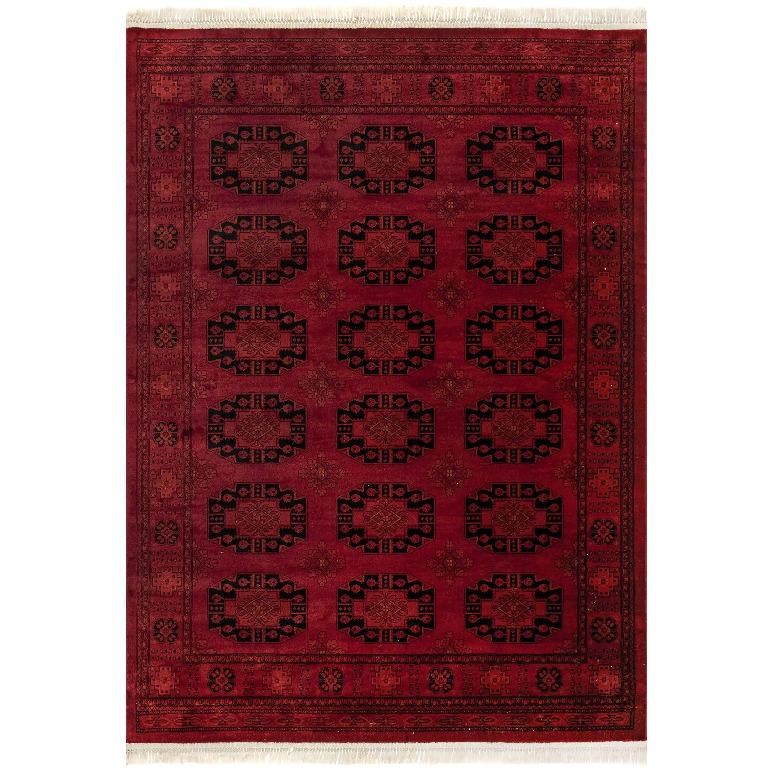 Diandra Traditional Persian Oriental Medallion Fringe Area Rug, Home Decorative Polypropylene Rug for High Traffic Spaces