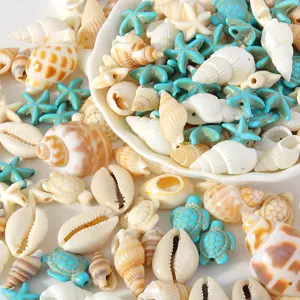 65pcs random natural shell, conch, starfish, turtle pendant, hand-punched/hole-free diy handcrafted material bracelet, necklace, earrings, anklets, waist chain accessories