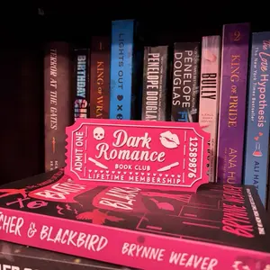 Dark Romance Book Club Ticket Sign | Spicy Reader Shelf Decor | BookTok Aesthetic Smut Reader Gift | Bookish Room Decor | Smut Book Lover Gift | Romance Reader Gift