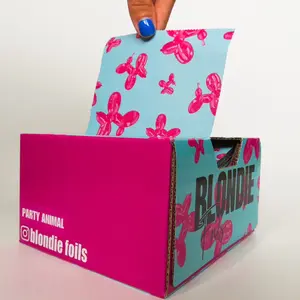 Balloon Dog Hair Foils for Creative Hairstyles