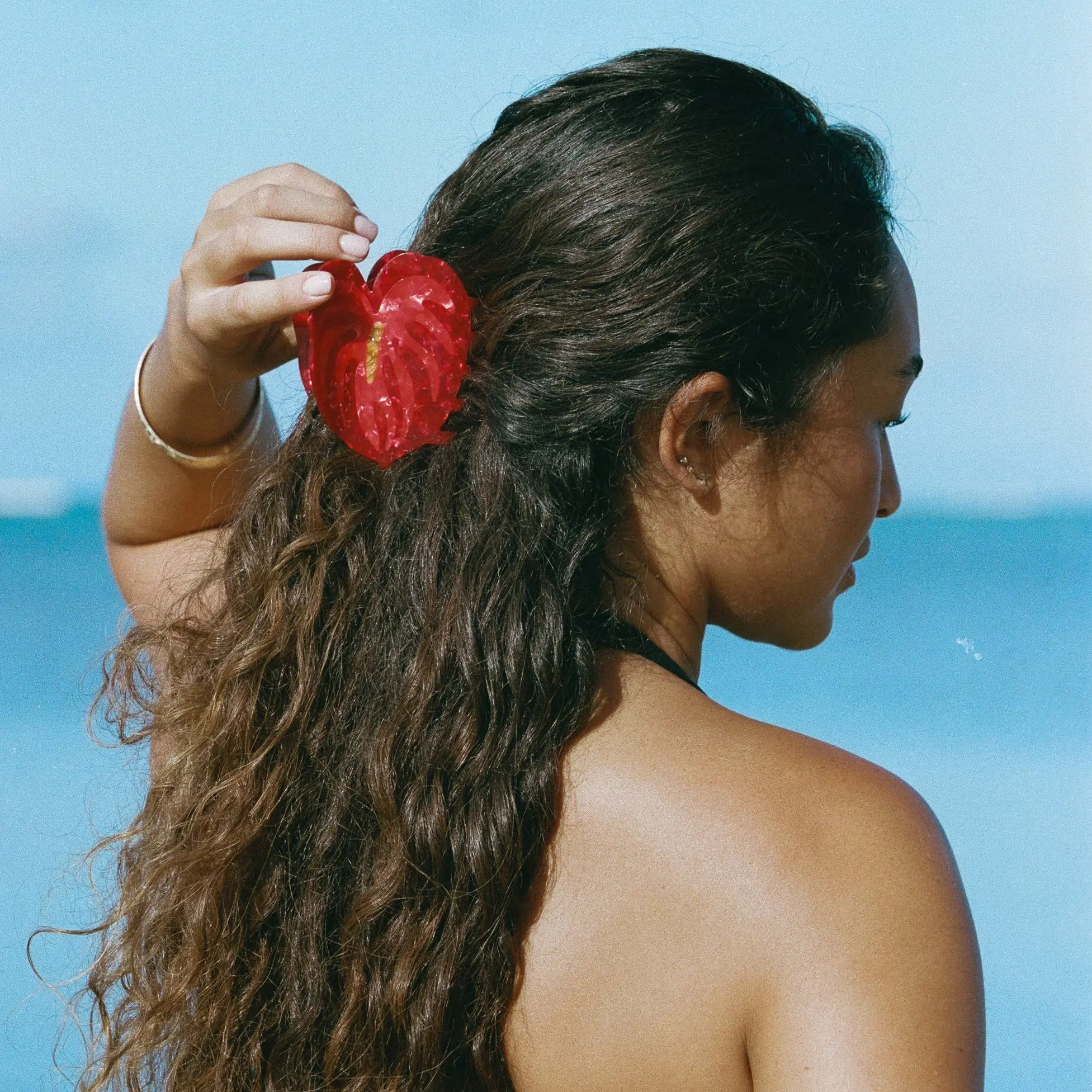 red anthurium hair claw red anthurium hair claw