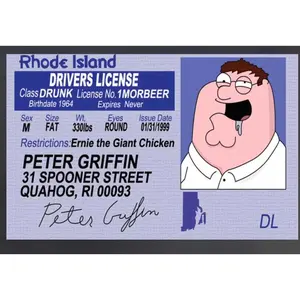 Family Guy, Peter Griffin Driver License on a Flag For College Funny Flag Dorm Flag tapestry Decoration Home Bedroom Decor