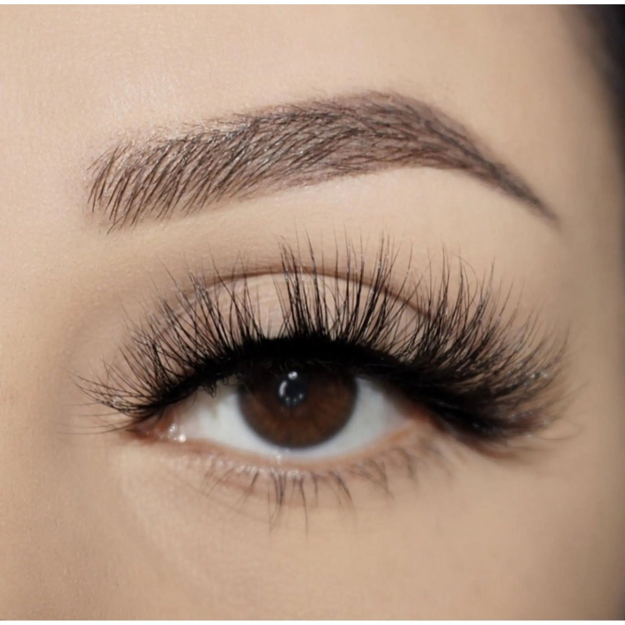 "NYC Lash" 3D False Eyelashes, Cat Eye Effect Lash,Reusable 20 Wears, Lightweight, 20MM Lashes, Luxury, 1 Pair of Strip Eyelashes (Glue Not Included)