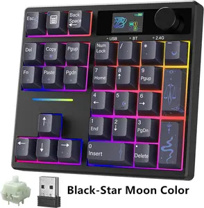 BOYI TD31Pro Gaming Keyboard,Mini Mechanical Numpad,BT5.0/2.4G/Type-C Wireless Numeric Keypad,RGB HotSwap Numpad with Screen&Knob,Gasket Macro Pad Number keypad for Win/Mac