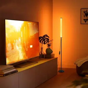 LED Corner Floor Lamp, 1/2 Counts USB Powered RGB Color Changing Floor Light with Remote Control, Adjustable Height Ambient Light for Living Room, Bedroom, Modern Mood Lighting