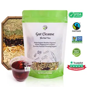 Gut Cleanse Herbal Tea – 9 Natural Herbs Mint Ginger Lemongrass Botanical Blend Caffeine-Free Non-GMO with Edible Corn Fiber Tea Bags 100g Beverage
