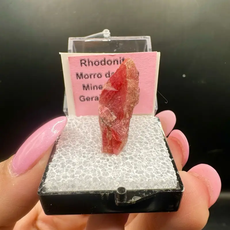 Red Rhodonite from Morro da Mine Gerais Natural Specimen in Display Case