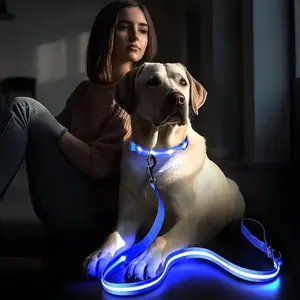 LED Dog Leash with Glow in Dark, USB Rechargeable Retractable Leash for Medium Dogs, Hands-Free Adjustable Leash with Reflective Strip, Night Safety Leash for Walking