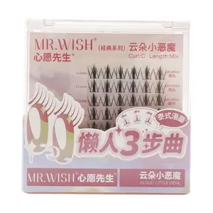 Mr.wish False Eyelashes, Curl C Length Mix, Cloud Little Devil Style