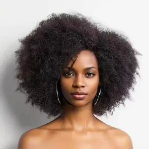 Imani 14 Inch Afro Kinky Curly Wig Short Curly Wig Human Hair for Black Women 250% Density 13x4x2 HD Lace Frontal Wig for Daily Use with Natural Hairline Affordable Wig